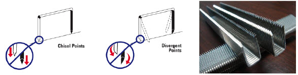 Diagram of staples